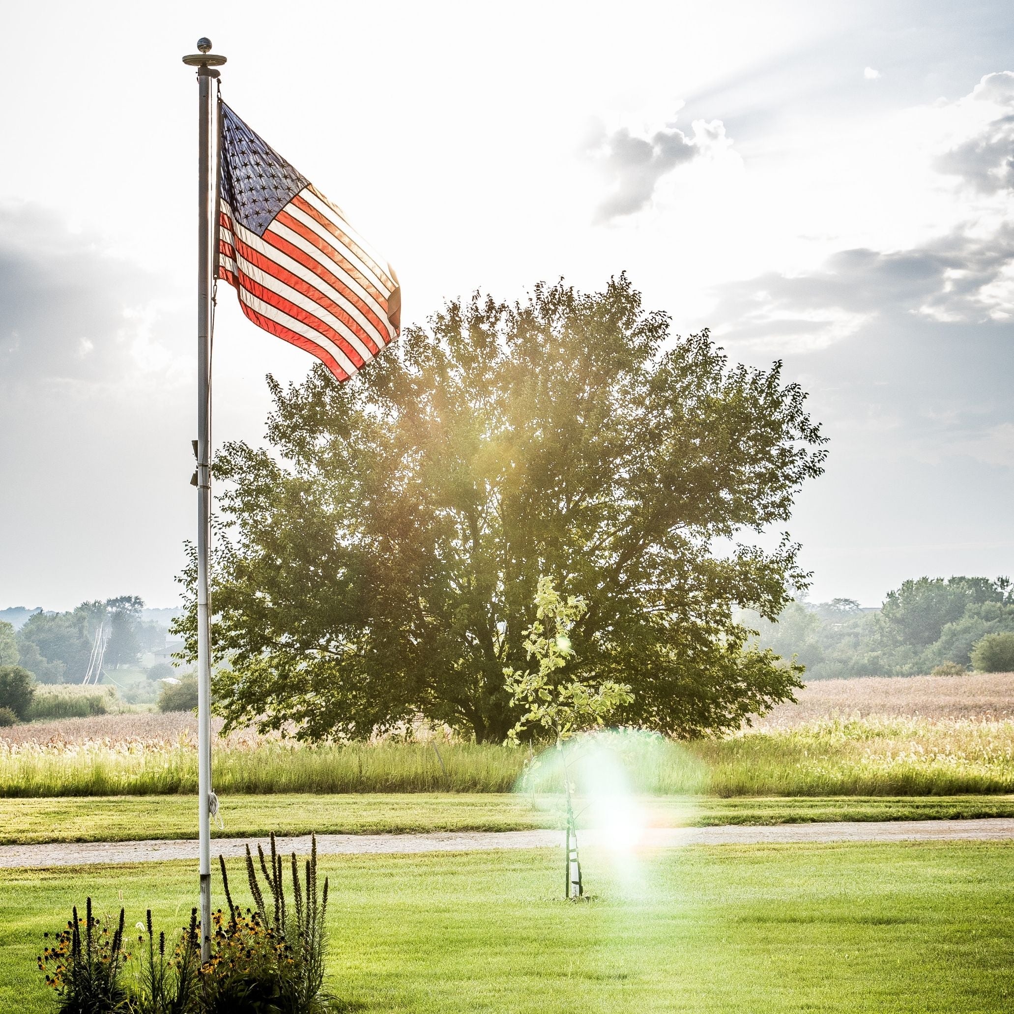 Protect your American Flag! Here are 5 things you must avoid doing with it