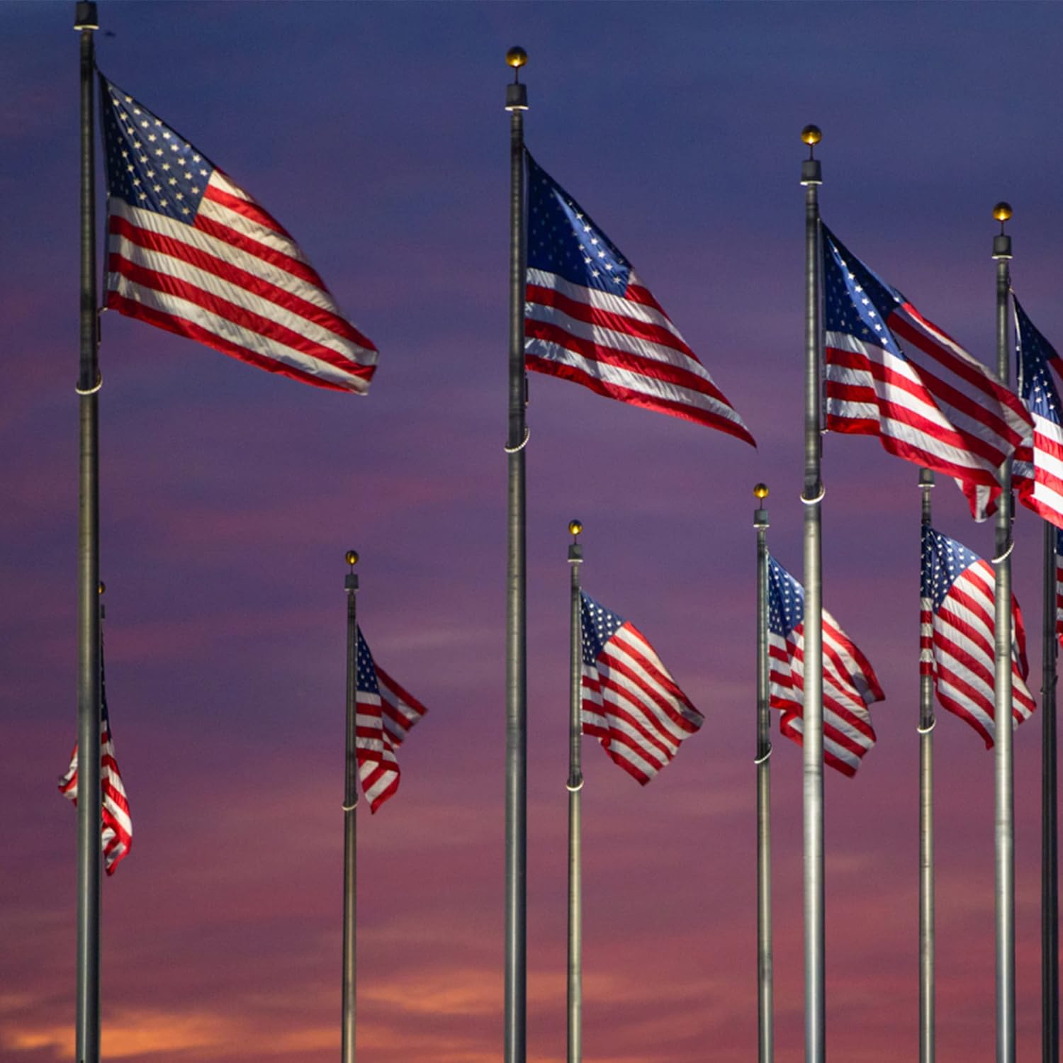 Rushmore Rose USA Flagpole Kit