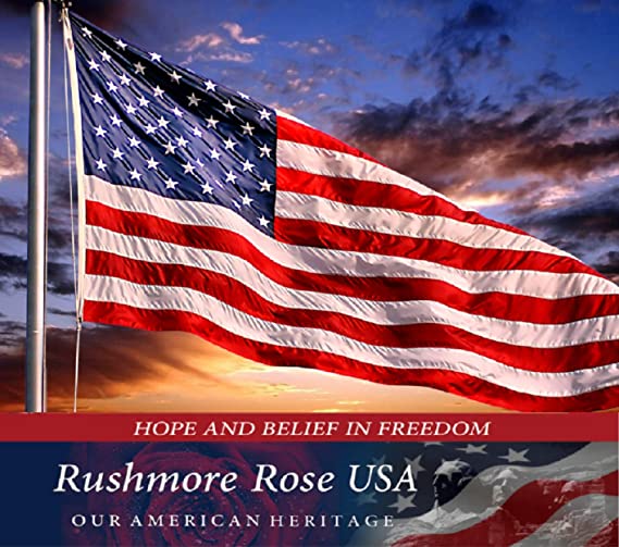 3' x 5' All Weather, Outdoor American Flag | USA Flag Store